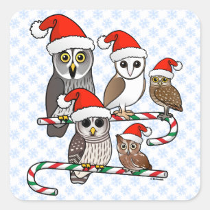 Santa Owls Square Sticker