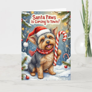 Santa Paws Affenpinscher Christmas Greeting Card