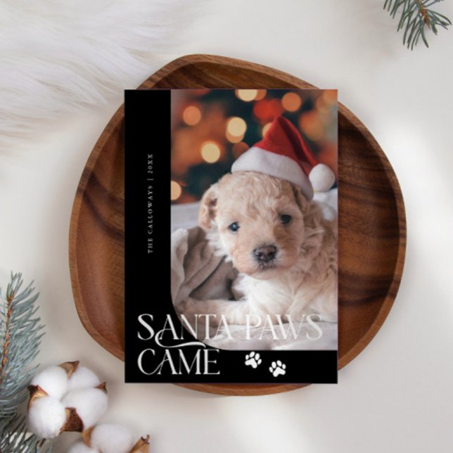 Santa Paws Came Dog Photo Black Christmas Holiday Card (Creator Uploaded)