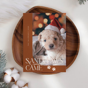 Santa Paws Came Dog Photo Terracotta Christmas Holiday Card