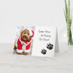 Santa Paws Christmas Card<br><div class="desc">Santa Paws Christmas Card</div>