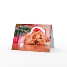 Santa Paws Christmas Card