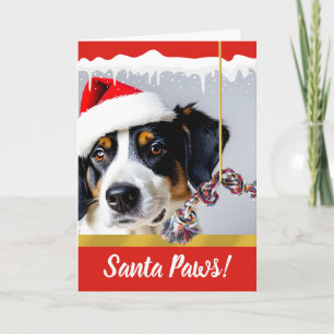 Santa Paws Christmas Dog in the Snow Holiday Card
