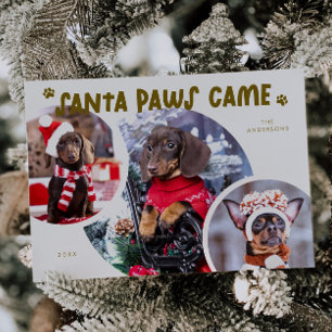 Santa Paws Cream Dog Photo Holiday Card
