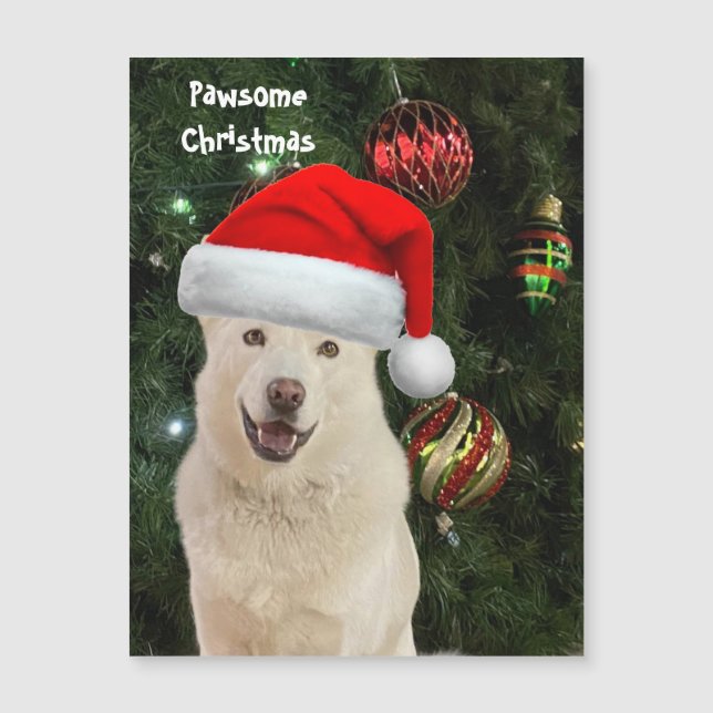 Santa Paws - Crystal the Husky Dog Christmas (Front)