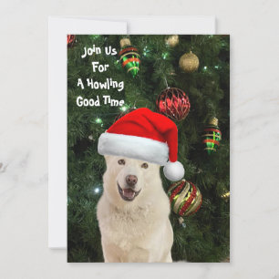 Santa Paws - Crystal the Husky Dog Christmas Invitation
