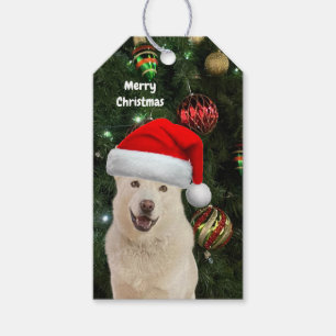 Santa Paws - Crystal the Husky Dog Personalised Gift Tags