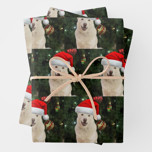 Santa Paws - Crystal the Husky  Wrapping Paper Sheet (In situ)