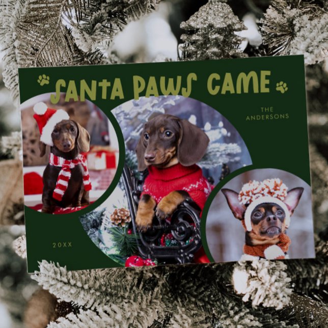 Santa Paws Green Dog Photo Holiday Card (Creator Uploaded)