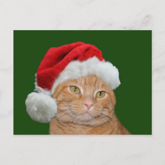 Santa Paws Holiday Postcard