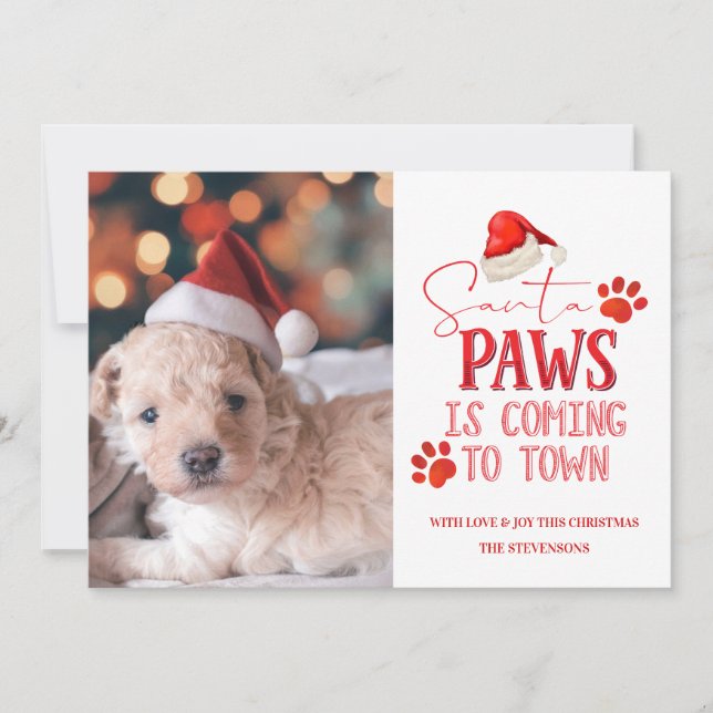 Santa Paws is Coming to Town Christmas Photograph Holiday Card (Front)