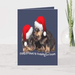 Santa Paws Is Coming To Town Cute Rottweiler Xmas Holiday Card