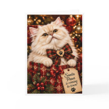 Santa Paws Is Coming to Town Personalised Persian