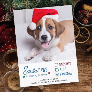 Santa Paws Naughty Nice Pawsome Dog Pet Photo Holiday Postcard