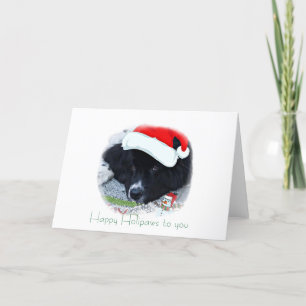 Santa Paw's Newfoundland Holiday gifts