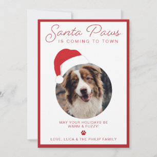 Santa Paws Pet Photo Holiday Card