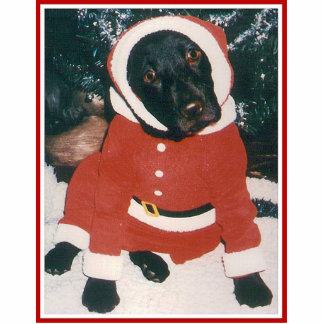 Santa Paws Photo Sculpture Decoration