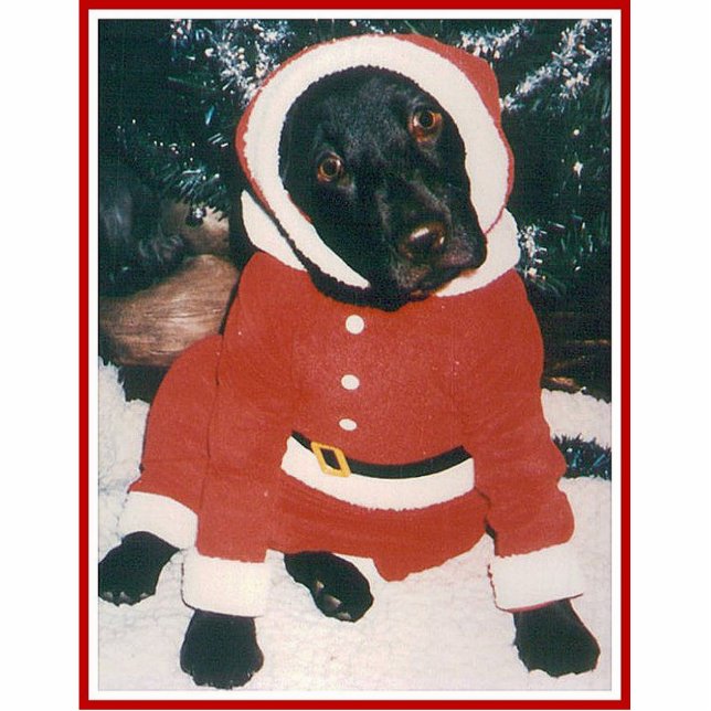Santa Paws Photo Sculpture Decoration (Front)