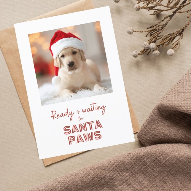 Santa Paws ready and waiting - Dog lover Christmas Holiday Card (Creator Uploaded)