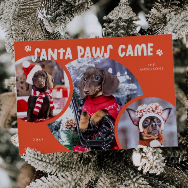 Santa Paws Retro Red Dog Photo Holiday Card (Creator Uploaded)