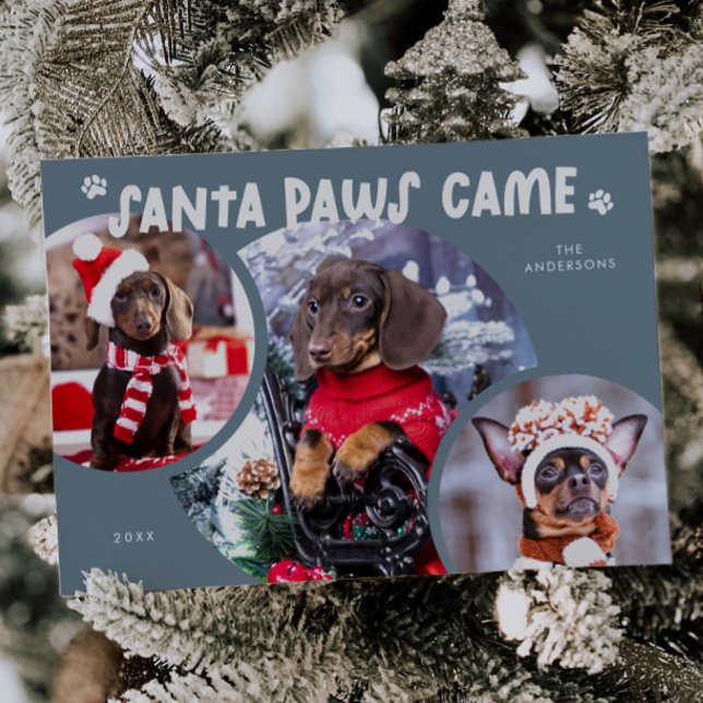 Santa Paws Slate Blue Dog Photo Holiday Card (Creator Uploaded)