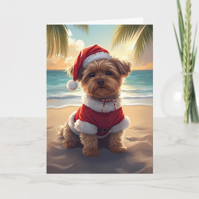 Santa Paws Takes the Beach – Shih Tzu Christmas Card (Front)