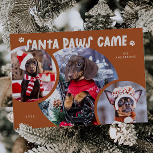 Santa Paws Terracotta Dog Photo Holiday Card