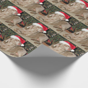 Santa Paws - Weimaraner Style - Dog Christmas Wrapping Paper