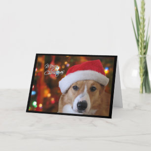 Santa Pembroke Welsh Corgi Christmas Card