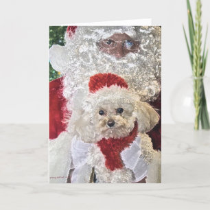 Santa & Poodle Card