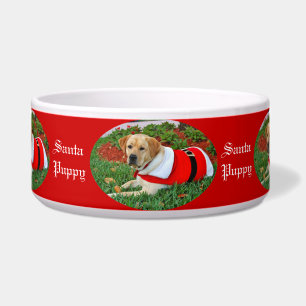 Santa Puppy Dog Dressed in Red for Christmas