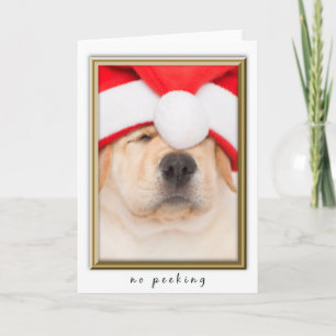 Santa Puppy No Peeking Holiday Card
