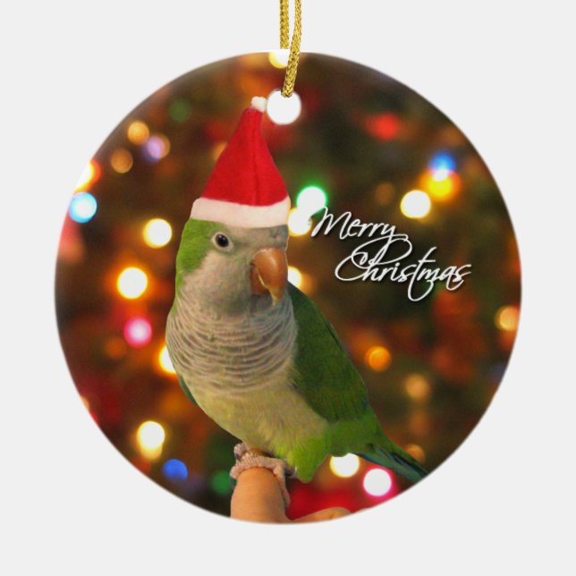 Santa Quaker Parakeet Christmas Ornament (Front)