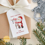 Santa Reindeer and Cardinal Personalised Christmas Gift Tags<br><div class="desc">Personalised family christmas gift tags with Santa and His Helpers. The wording is fully editable and is lettered in whimsical typography. It currently reads "Merry Christmas Love [family name]" and you personalise this as you wish. A cute watercolor design with Father Christmas,  his reindeer and a cardinal.</div>