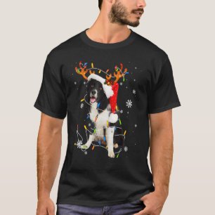Santa Reindeer Border collie Christmas Lights Xmas T-Shirt