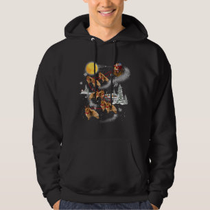 Santa Riding Pomeranian Christmas Pajama Family Ma Hoodie