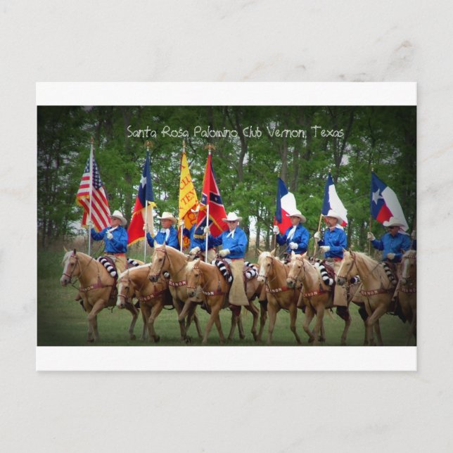 Santa Rosa Palomino Club Vernon, Texas Postcard (Front)