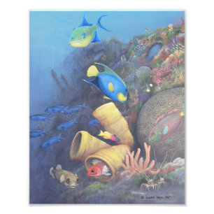Santa Rosa Wall 1 Fine Art Print