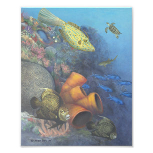 Santa Rosa Wall 2 Fine Art Print