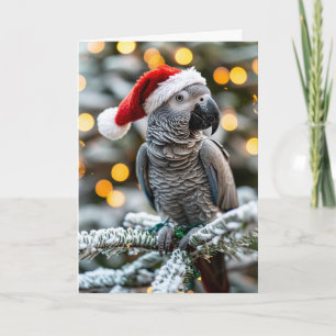 Santa’s Little African Grey Helper  Card