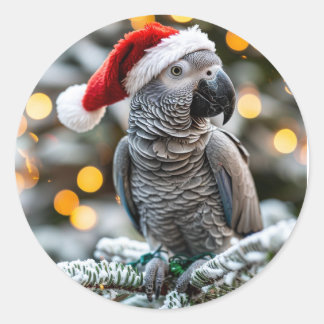 Santa’s Little African Grey Helper  Classic Round Sticker
