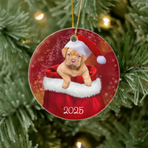 Santa’s Littlest Helper Ceramic Tree Decoration