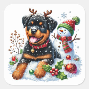 Santa’s Rottie Reindeer Recruit! Square Sticker