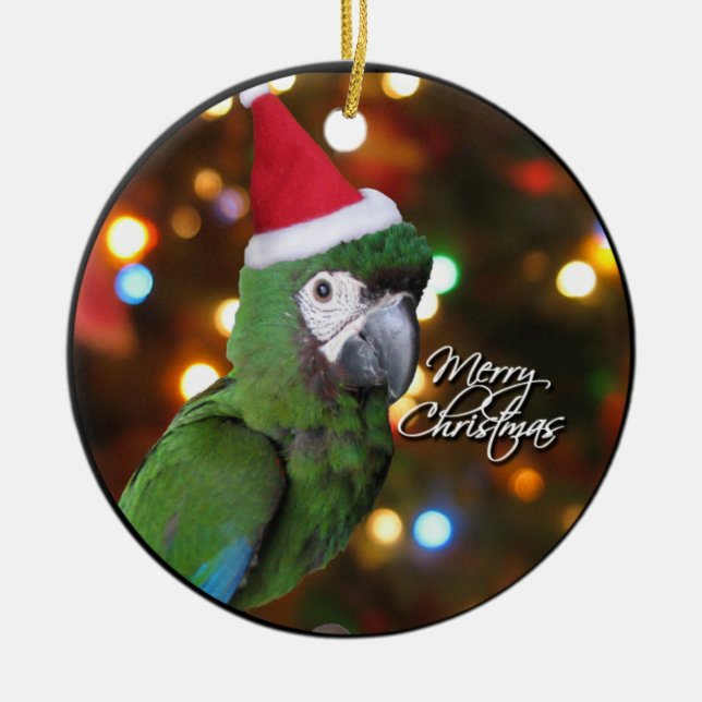 Santa Severe Macaw Christmas Ornament (Front)