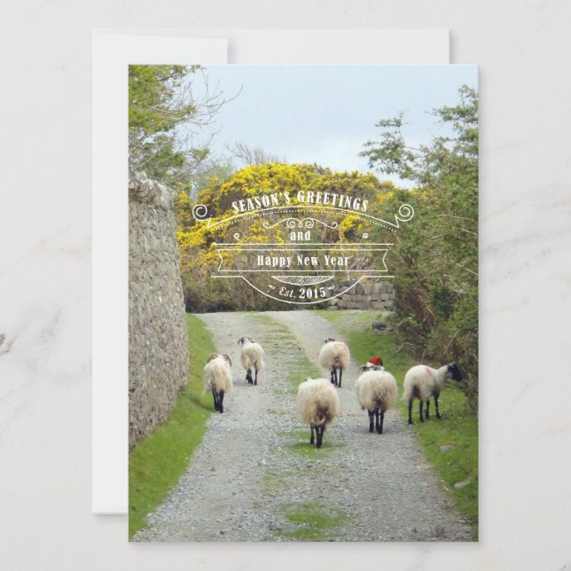 Santa Sheep Holiday Card (Front)