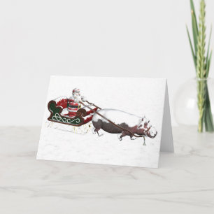 Santa Sled Pulled By Hippopotamus Holiday Card