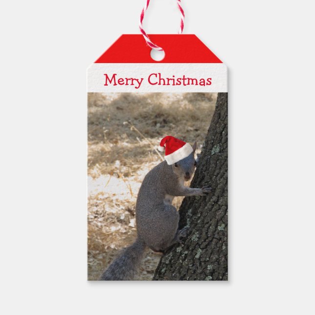 Santa Squirrel Christmas Gift Tag (Front)