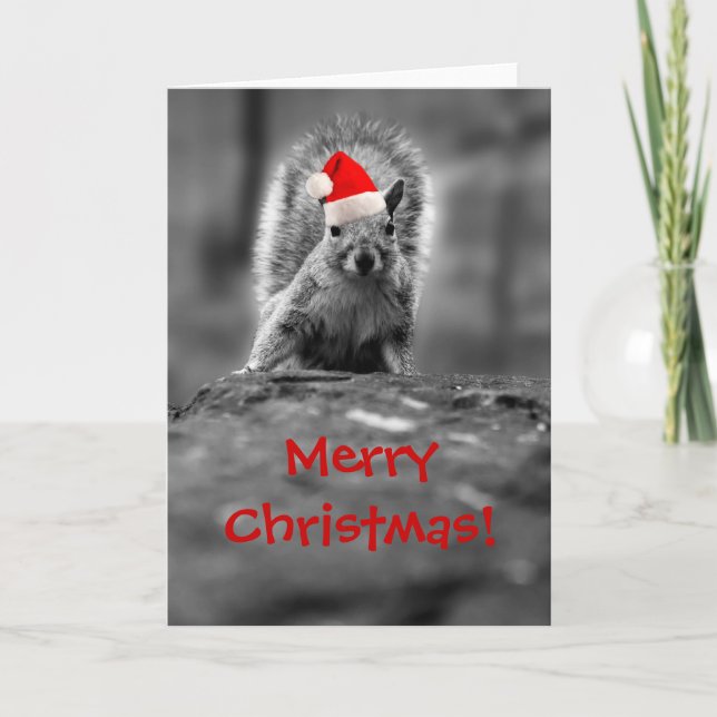 Santa Squirrel Merry Christmas Card (Front)