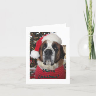Santa St. Bernard Dog Christmas Card