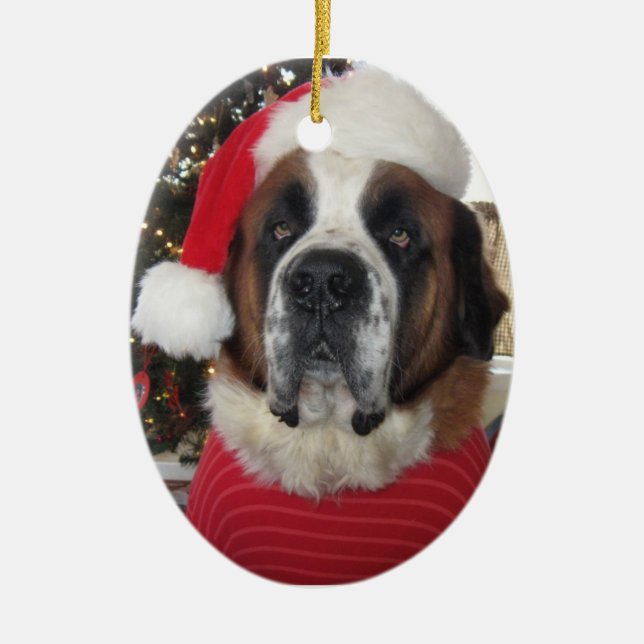 Santa St. Bernard Oval Christmas Ornament (Front)